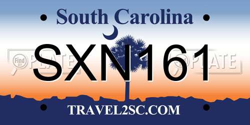 SXN161 South Carolina License Plate