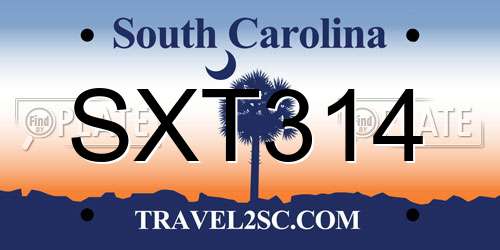 SXT314 South Carolina License Plate