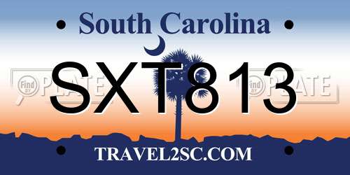 SXT813 South Carolina License Plate