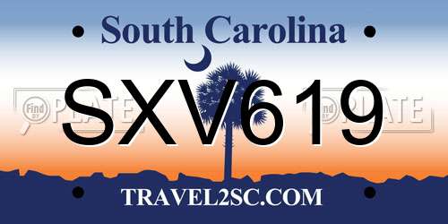 SXV619 South Carolina License Plate