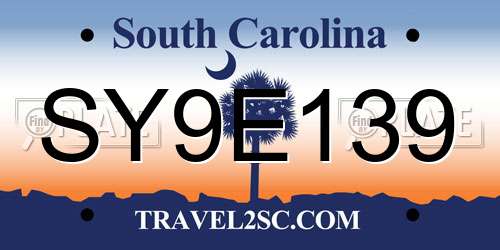 SY9E139 South Carolina License Plate