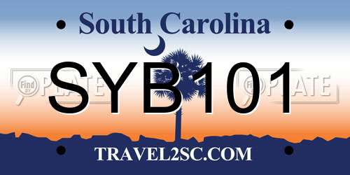 SYB101 South Carolina License Plate