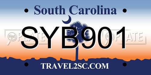 SYB901 South Carolina License Plate