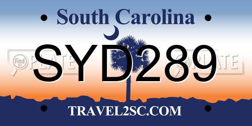 SYD289 South Carolina License Plate