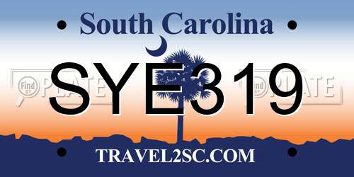 SYE319 South Carolina License Plate