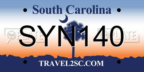 SYN140 South Carolina License Plate