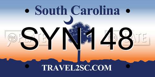 SYN148 South Carolina License Plate