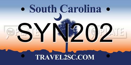 SYN202 South Carolina License Plate