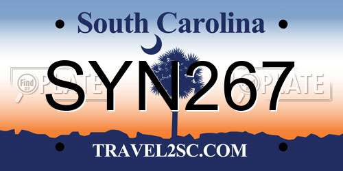 SYN267 South Carolina License Plate