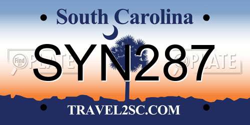 SYN287 South Carolina License Plate