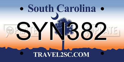 SYN382 South Carolina License Plate