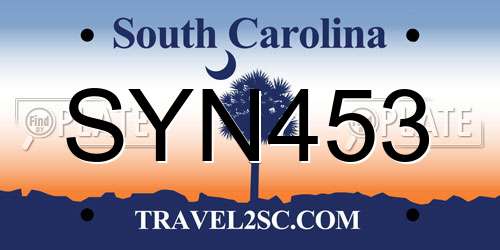 SYN453 South Carolina License Plate