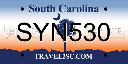 SYN530 South Carolina License Plate