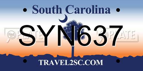 SYN637 South Carolina License Plate