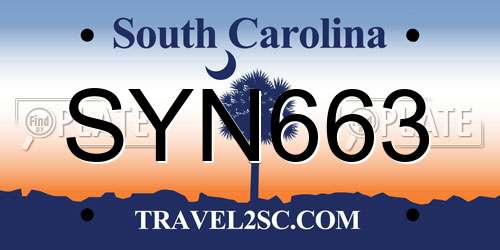 SYN663 South Carolina License Plate