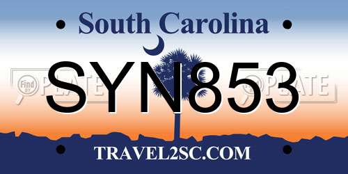 SYN853 South Carolina License Plate