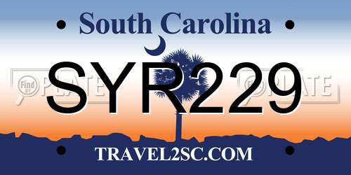 SYR229 South Carolina License Plate