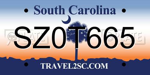 SZ0T665 South Carolina License Plate