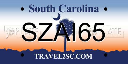 SZAI65 South Carolina License Plate
