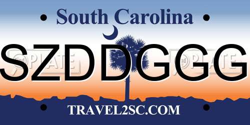 SZDDGGG South Carolina License Plate