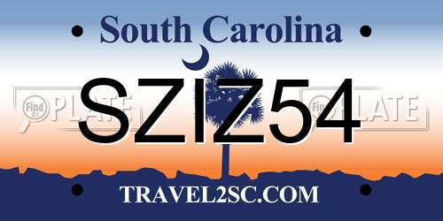 SZIZ54 South Carolina License Plate