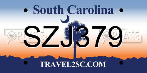 SZJ379 South Carolina License Plate