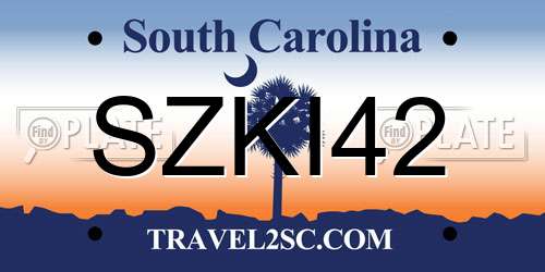 SZKI42 South Carolina License Plate