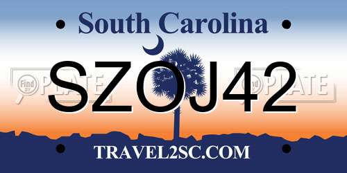 SZOJ42 South Carolina License Plate