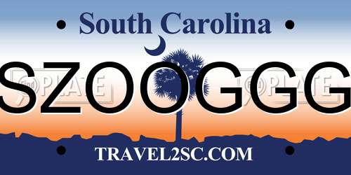 SZOOGGG South Carolina License Plate