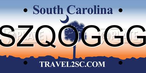 SZQOGGG South Carolina License Plate
