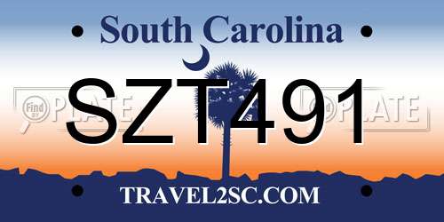 SZT491 South Carolina License Plate
