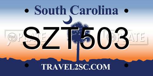 SZT503 South Carolina License Plate