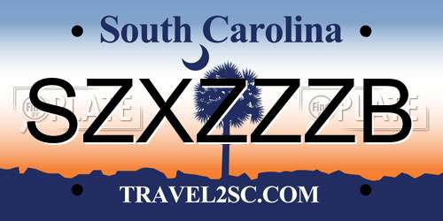 SZXZZZB South Carolina License Plate