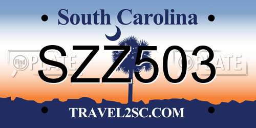 SZZ503 South Carolina License Plate