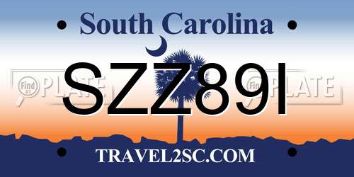 SZZ89I South Carolina License Plate