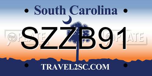 SZZB91 South Carolina License Plate