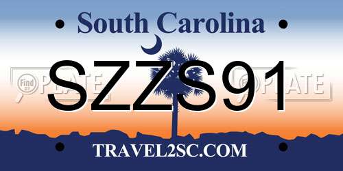 SZZS91 South Carolina License Plate