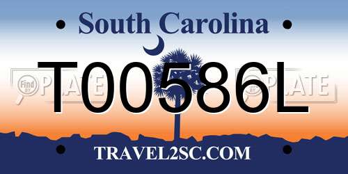 T00586L South Carolina License Plate