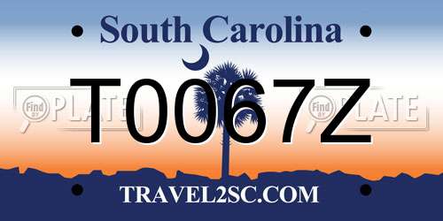 T0067Z South Carolina License Plate