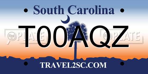 T00AQZ South Carolina License Plate