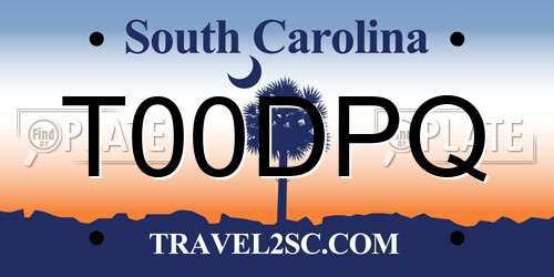 T00DPQ South Carolina License Plate