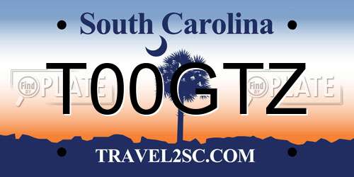 T00GTZ South Carolina License Plate