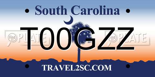 T00GZZ South Carolina License Plate