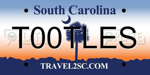 T00TLES South Carolina License Plate