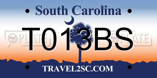 T013BS South Carolina License Plate