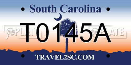 T0145A South Carolina License Plate