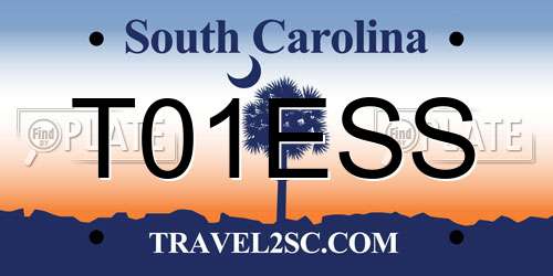 T01ESS South Carolina License Plate