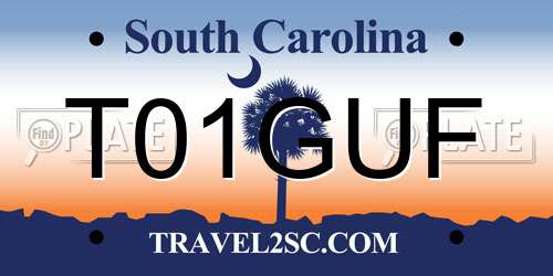 T01GUF South Carolina License Plate