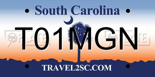 T01MGN South Carolina License Plate