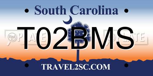 T02BMS South Carolina License Plate